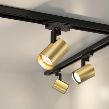 Brilagi - HUSKY Track Spotlight, 8 x GU10 (10W) / 230V, Black/Gold
