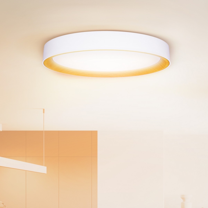 Brilagi - LED Dimmable Ceiling Light LARIOS LED/72W/230V, White, Ø 59 cm + Remote Control