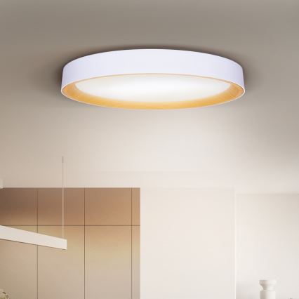 Brilagi - LED Dimmable Ceiling Light LARIOS LED/72W/230V, White, Ø 59 cm + Remote Control