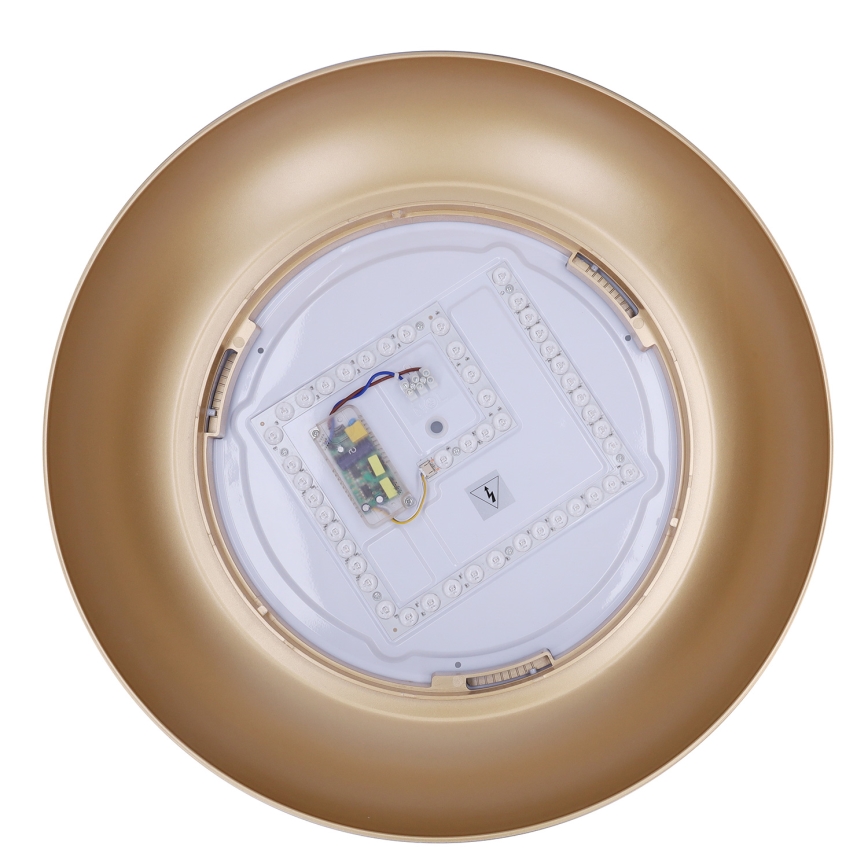 Brilagi - ALVA Dimmable LED Ceiling Light LED/48W/230V 3000-6500K Ø 51 cm Black + Remote Control