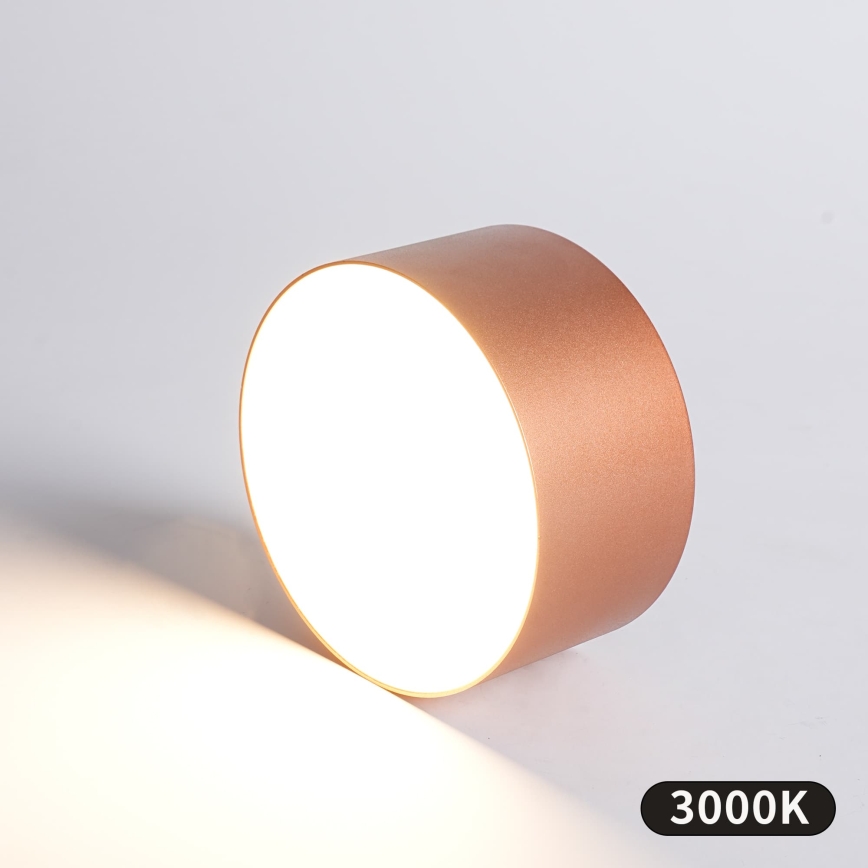 BRILAGI - LED Bathroom ceiling light FORIS LED/14W/230V Ø 12 cm bronze IP44