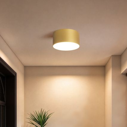 BRILAGI - LED Bathroom ceiling light FORIS LED/14W/230V Ø 12 cm gold IP44