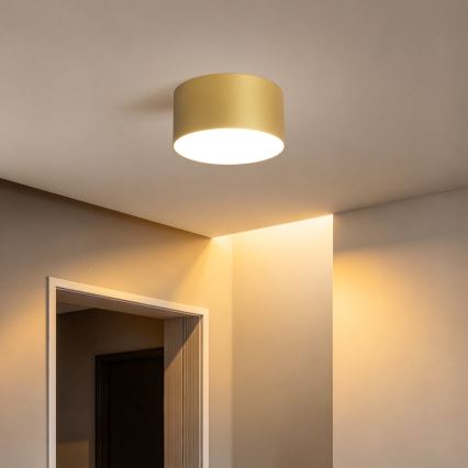 BRILAGI - LED Bathroom ceiling light FORIS LED/14W/230V Ø 12 cm gold IP44
