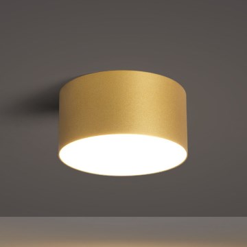 BRILAGI - LED Bathroom ceiling light FORIS LED/14W/230V Ø 12 cm gold IP44