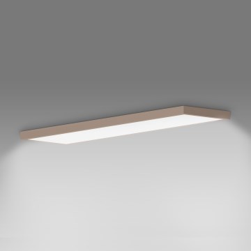 Brilagi - LED Bathroom Ceiling Light FRAME LED/50W/230V 120x30 cm IP44 Beige