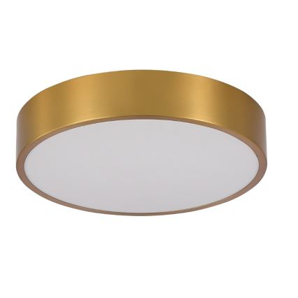 Brilagi - LED Bathroom Ceiling Light POOL LED/24W/230V 3000/4000/5500K dia. 30 cm IP54 bronze