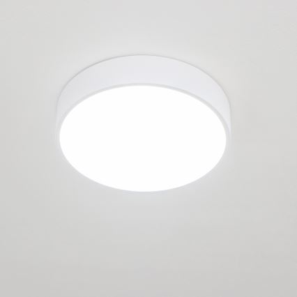 Brilagi - LED Bathroom Ceiling Light POOL LED/24W/230V 3000/4000/5500K Ø 30 cm IP54 White