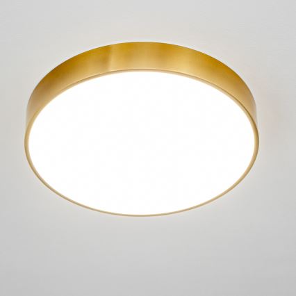 Brilagi - POOL LED Bathroom Ceiling Light 36W/230V 3000/4000/5500K Ø 40 cm IP54 Bronze