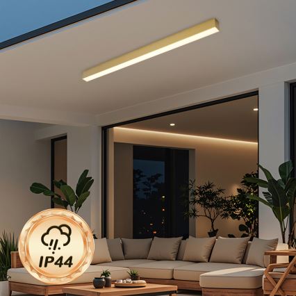 Brilagi - SLEEKLINE LED Bathroom Ceiling Light LED/40W/230V 3000/4500/6000K Gold IP44