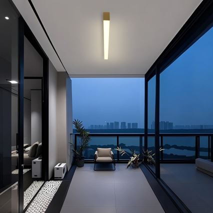 Brilagi - SLEEKLINE LED Bathroom Ceiling Light LED/40W/230V 3000/4500/6000K Gold IP44