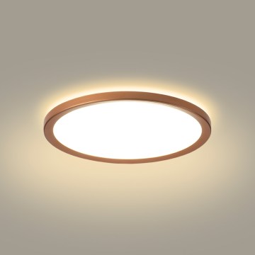 Brilagi - LED Bathroom Ceiling Light ULTRA SLIM LED/12W/230V Ø 22.5 cm Rose Gold IP54