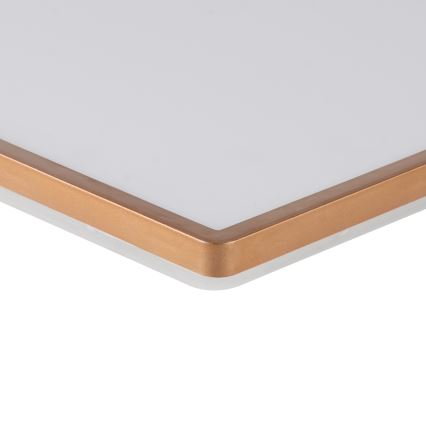 Brilagi - Ultra Slim LED Bathroom Ceiling Light 24W/230V 42x42 cm Rose Gold IP54