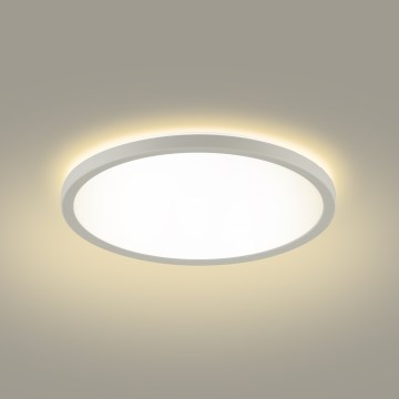 Brilagi - LED Bathroom ceiling light ULTRA SLIM LED/24W/230V 42x42 cm white IP54