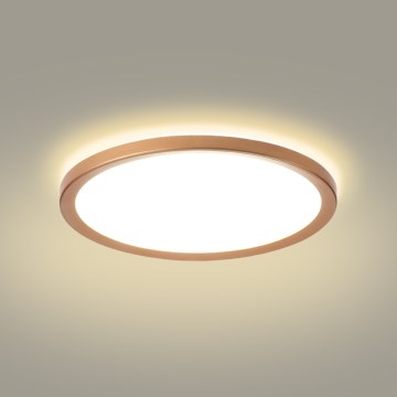 Brilagi - LED Bathroom Ceiling Light ULTRA SLIM LED/24W/230V Ø 42 cm Rose Gold IP54