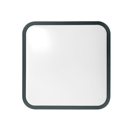 Brilagi - ZENNA LED Bathroom Ceiling Light with Sensor, 24W/230V, 34.5 x 34.5 cm, IP44, Anthracite + Remote Control