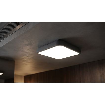 BRILAGI - ZENNA LED Bathroom Ceiling Light with Sensor, 24W/230V, 34.5 x 34.5 cm, IP44, Anthracite + Remote Control