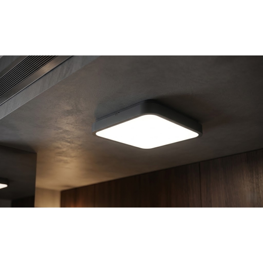 BRILAGI - ZENNA LED Bathroom Ceiling Light with Sensor, 24W/230V, 34.5 x 34.5 cm, IP44, Anthracite + Remote Control