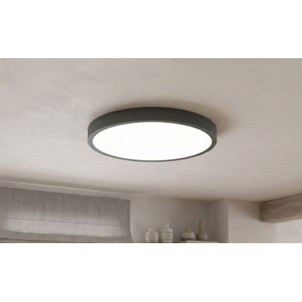 BRILAGI - ZENNA LED Bathroom Ceiling Light with Sensor, LED/24W/230V, Ø35 cm, IP44, Anthracite + Remote Control