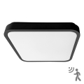 BRILAGI - LED Bathroom ceiling light with sensor ZENNA LED/36W/230V 41,5x41,5 cm IP44 black + remote control