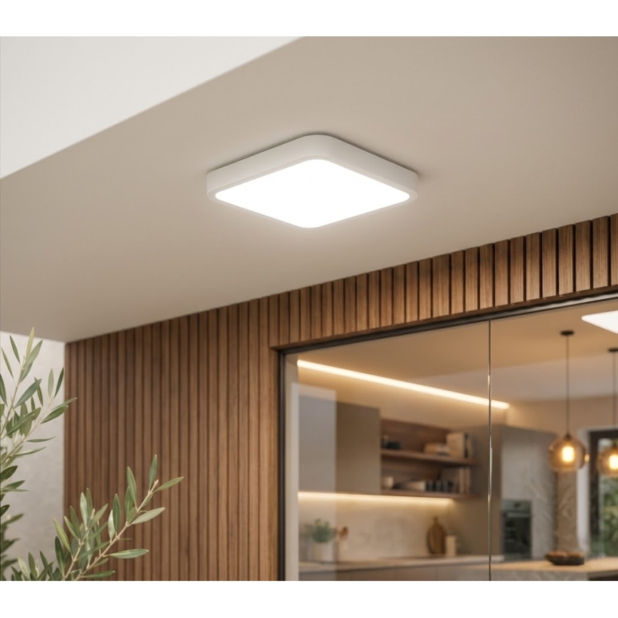 BRILAGI - ZENNA LED Bathroom Ceiling Light, 18 W, 230 V, 28.5 x 28.5 cm, IP44, White