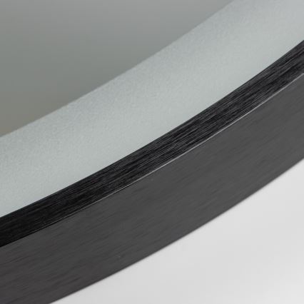 Brilagi - CANZO LED Bathroom Mirror LED/25W/230V 50x80 cm Black IP44 CRI 90 Dimmable + CCT