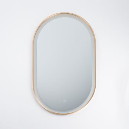 Brilagi - ERBA LED Bathroom Mirror LED/25W/230V 50x80 cm Gold IP44 CRI 90 Dimmable + CCT
