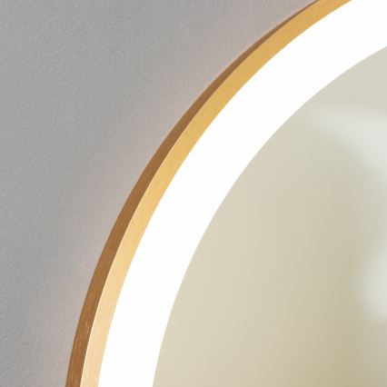 Brilagi - ERBA LED Bathroom Mirror LED/25W/230V 50x80 cm Gold IP44 CRI 90 Dimmable + CCT
