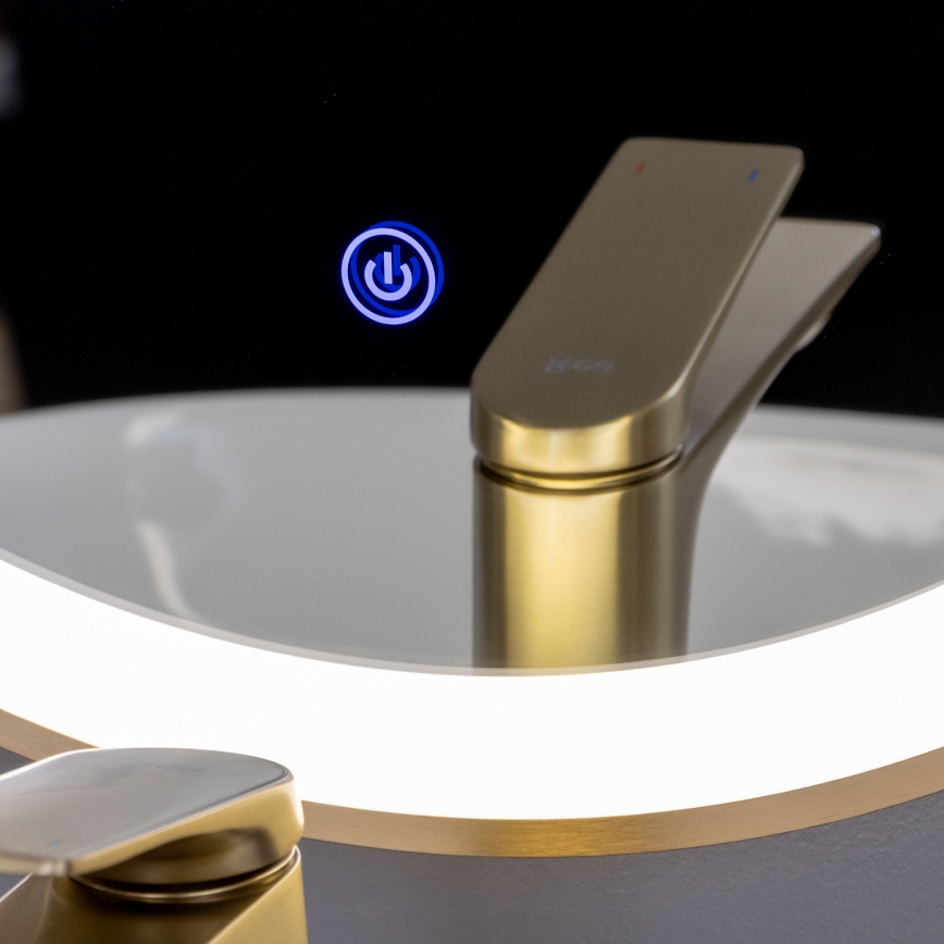 Brilagi - ERBA LED Bathroom Mirror LED/25W/230V 50x80 cm Gold IP44 CRI 90 Dimmable + CCT