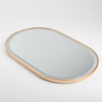 Brilagi - ERBA LED Bathroom Mirror LED/25W/230V 50x80 cm Gold IP44 CRI 90 Dimmable + CCT