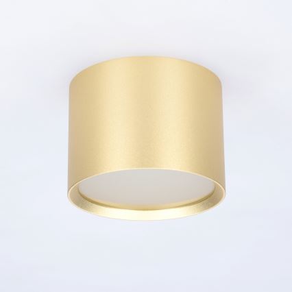 BRILAGI - LED Bathroom spotlight SMOOTH 1xGX53/15W/230V 60x82 mm gold IP54