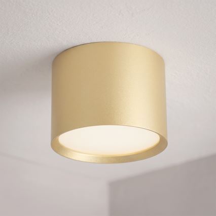 BRILAGI - LED Bathroom spotlight SMOOTH 1xGX53/15W/230V 60x82 mm gold IP54