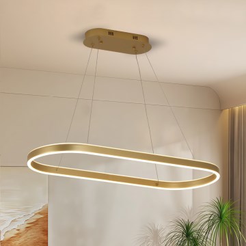 Brilagi - LED Cable-Suspended Chandelier PONDIE LED/44W/230V 80x30 cm Gold