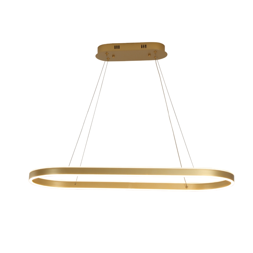 Brilagi - LED Cable-Suspended Chandelier PONDIE LED/44W/230V 80x30 cm Gold