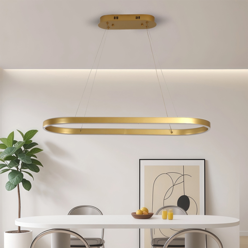 Brilagi - LED Cable-Suspended Chandelier PONDIE LED/44W/230V 80x30 cm Gold