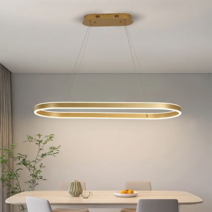 Brilagi - LED Cable-Suspended Chandelier PONDIE LED/44W/230V 80x30 cm Gold