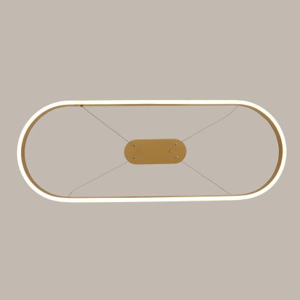 Brilagi - LED Cable-Suspended Chandelier PONDIE LED/44W/230V 80x30 cm Gold