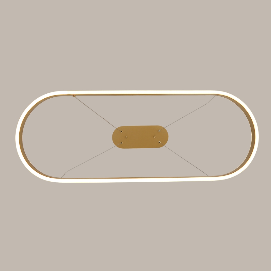 Brilagi - LED Cable-Suspended Chandelier PONDIE LED/44W/230V 80x30 cm Gold