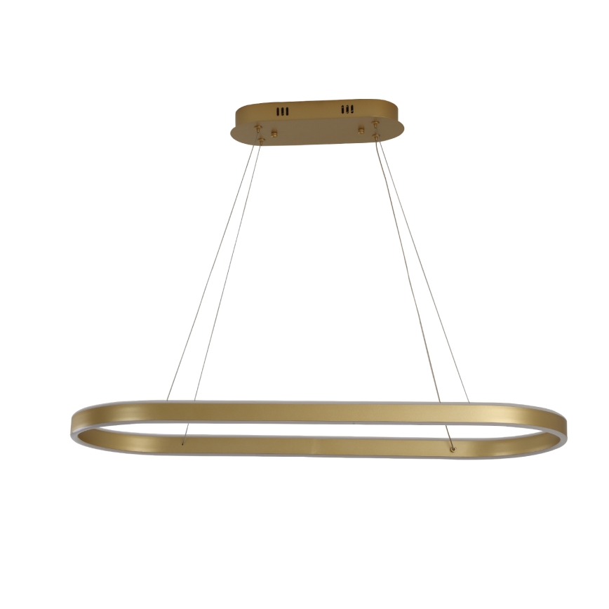 Brilagi - LED Cable-Suspended Chandelier PONDIE LED/44W/230V 80x30 cm Gold