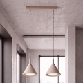 BRILAGI - LED Cable-suspended pendant CONE DOUBLE 2xGX53/15W/230V beige