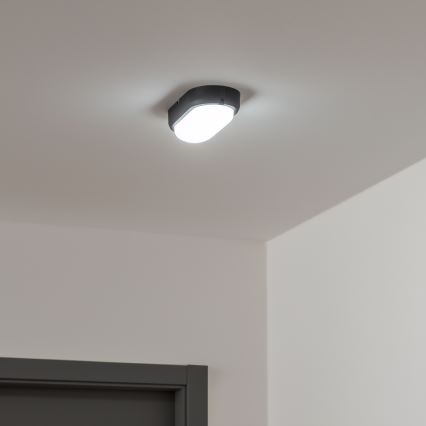Brilagi - LED Ceiling heavy-duty light SIMA LED/12W/230V IP65 black