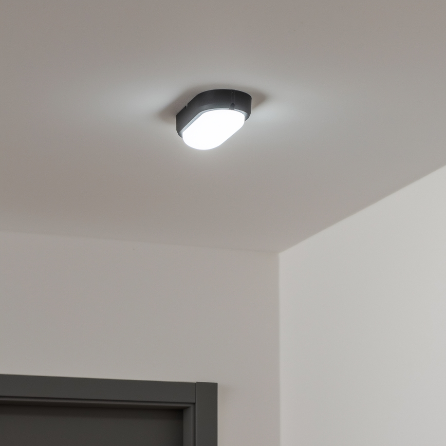 Brilagi - LED Ceiling heavy-duty light SIMA LED/12W/230V IP65 black
