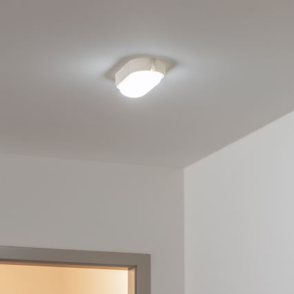 Brilagi - LED Ceiling heavy-duty light SIMA LED/12W/230V IP65 white