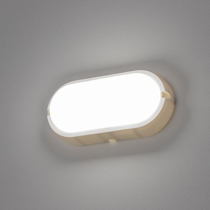 Brilagi - LED Ceiling heavy-duty light SIMA LED/12W/230V IP65 white