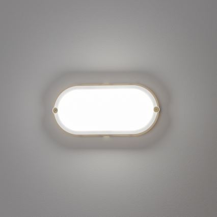 Brilagi - LED Ceiling heavy-duty light SIMA LED/12W/230V IP65 white