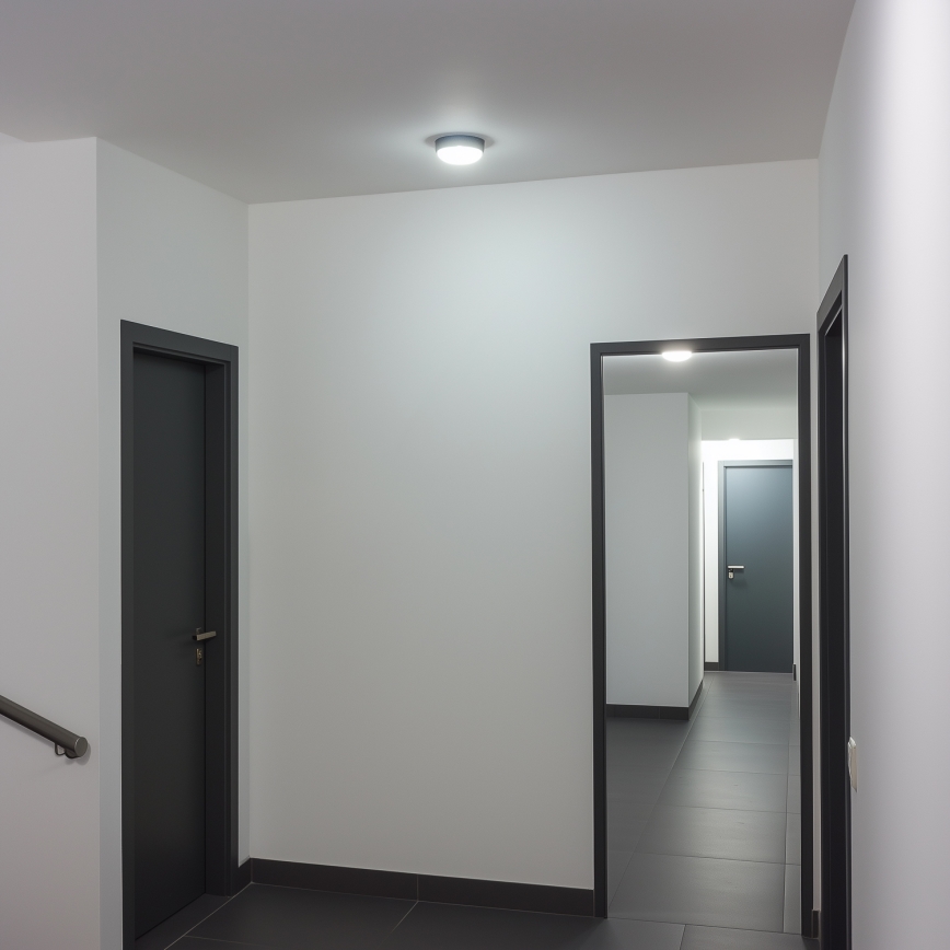 Brilagi - LED Ceiling industrial light SIMA LED/12W/230V IP65 black