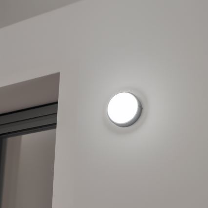 Brilagi - LED Ceiling industrial light SIMA LED/12W/230V IP65 black