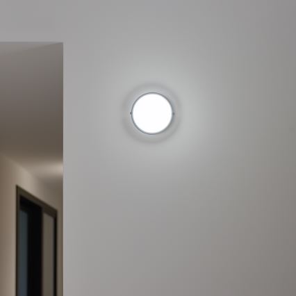 Brilagi - LED Ceiling industrial light SIMA LED/12W/230V IP65 black