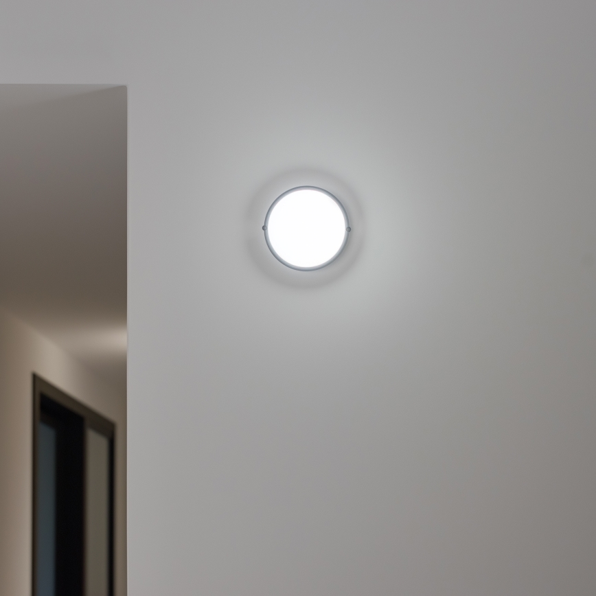 Brilagi - LED Ceiling industrial light SIMA LED/12W/230V IP65 black