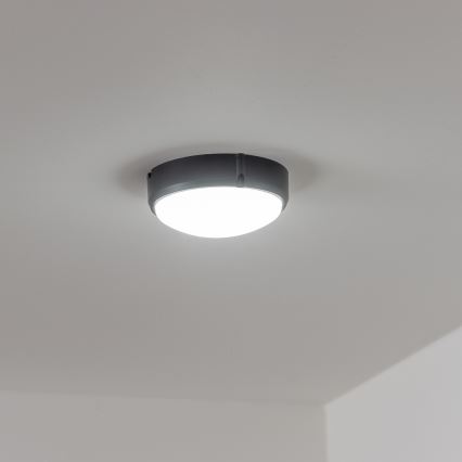 Brilagi - LED Ceiling industrial light SIMA LED/12W/230V IP65 black