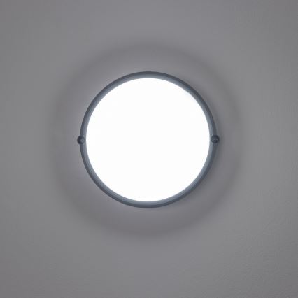 Brilagi - LED Ceiling industrial light SIMA LED/12W/230V IP65 black